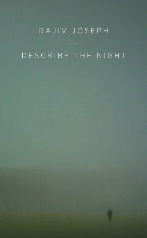 Cover image for book Describe the Night