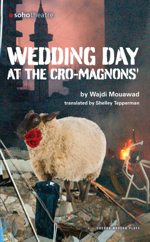 Cover image for book Wedding Day at the Cro-Magnons