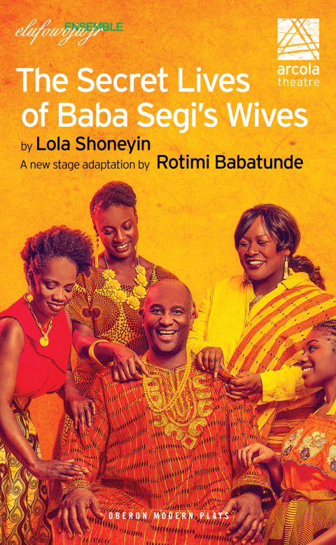 Cover image for book The Secret Lives of Baba Segi’s Wives