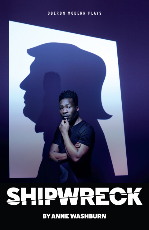 Cover image for book Shipwreck