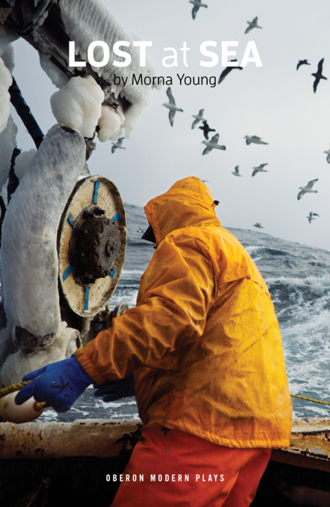 Cover image for book Lost At Sea