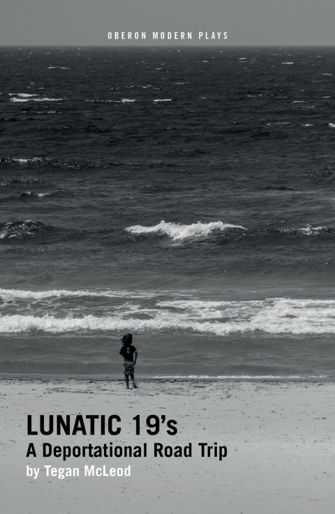 Cover image for book Lunatic 19's