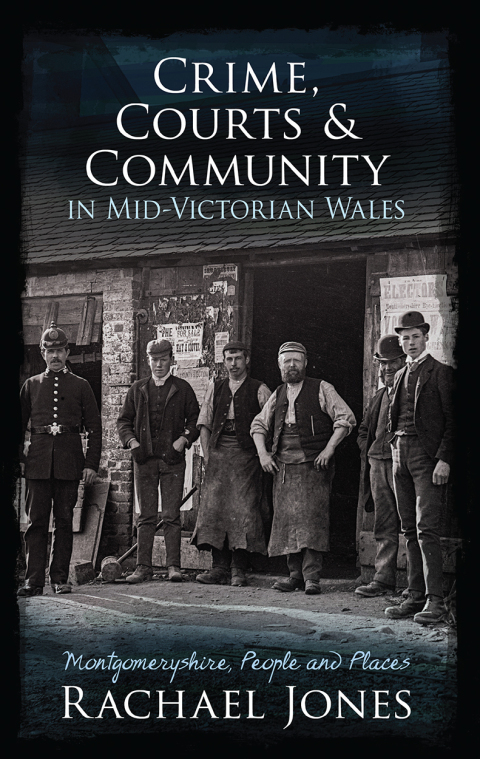 Cover image for book Crime, Courts and Community in Mid-Victorian Wales