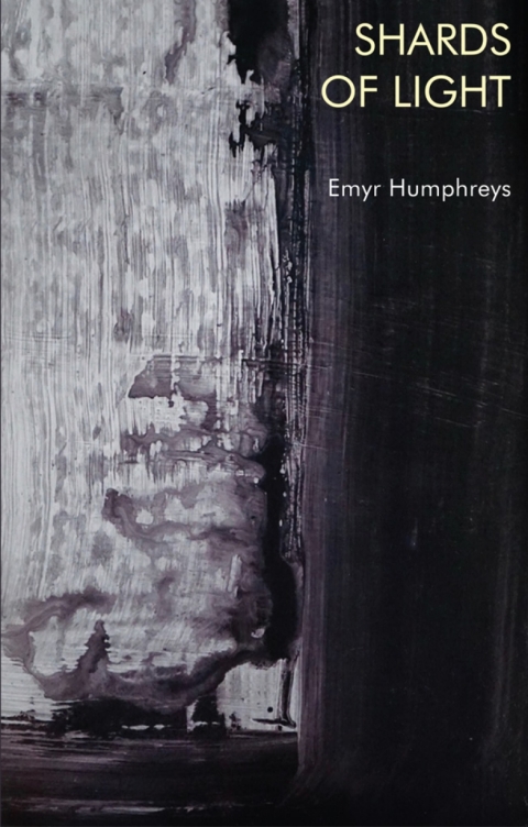Cover image for book Shards of Light