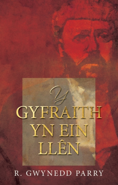 Cover image for book Y Gyfraith yn ein Llên