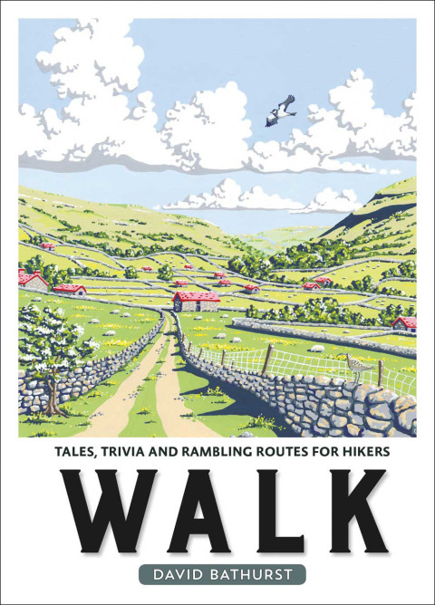 Cover image for book Walk