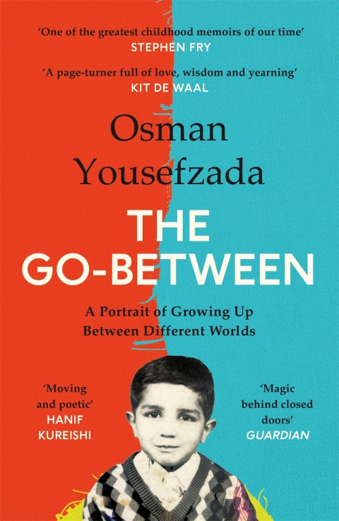 Cover image for book The Go-Between