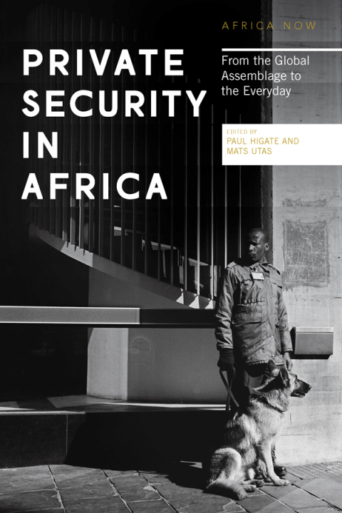 Cover image for book Private Security in Africa