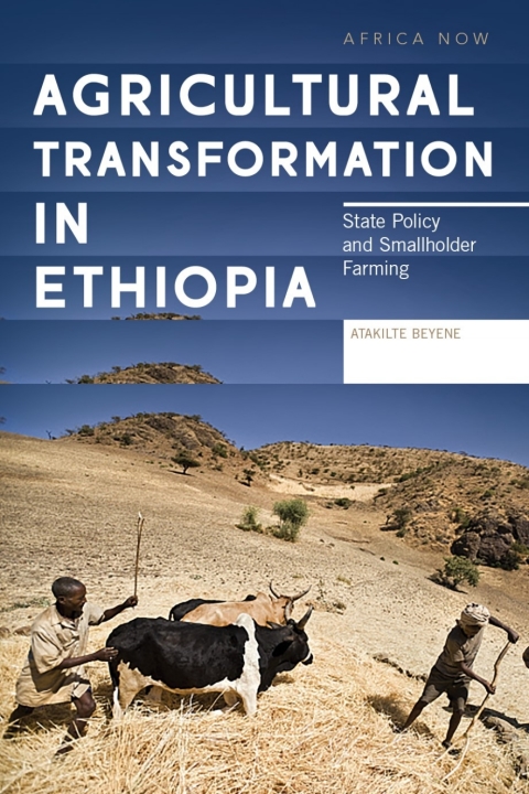 Cover image for book Agricultural Transformation in Ethiopia