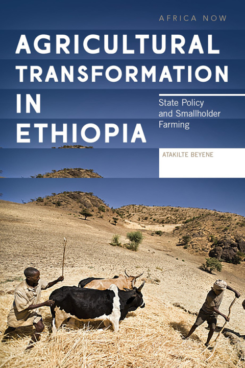 Cover image for book Agricultural Transformation in Ethiopia