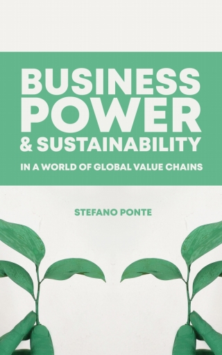 Business, Power and Sustainability in a World of Global Value Chains
