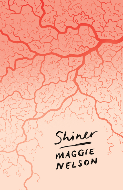 Cover image for book Shiner
