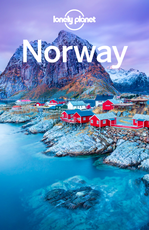 Cover image for book Lonely Planet Norway