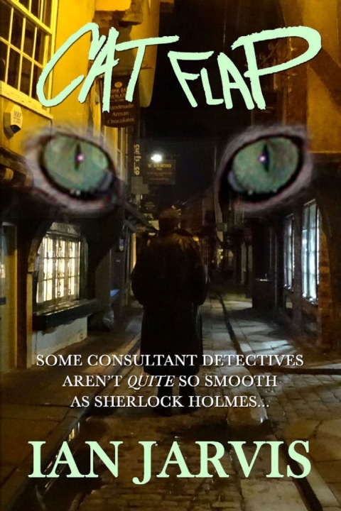 Cover image for book Cat Flap