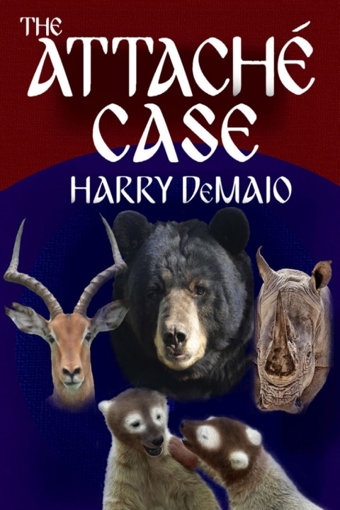 Cover image for book The Attaché Case