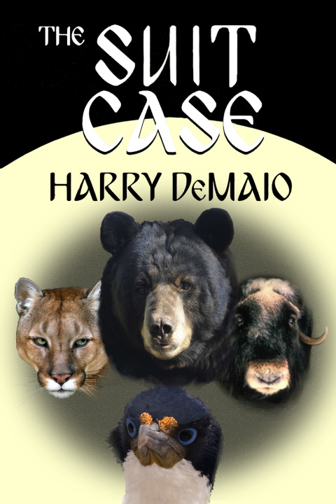 Cover image for book The Suit Case
