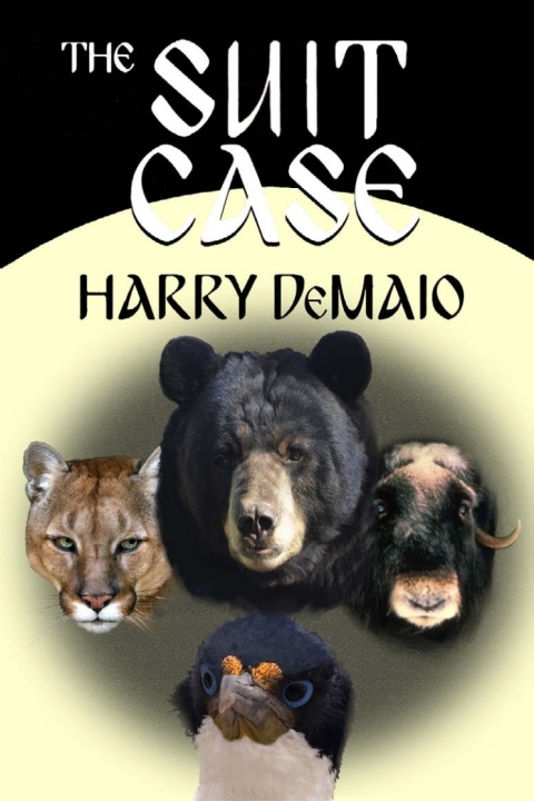 Cover image for book The Suit Case