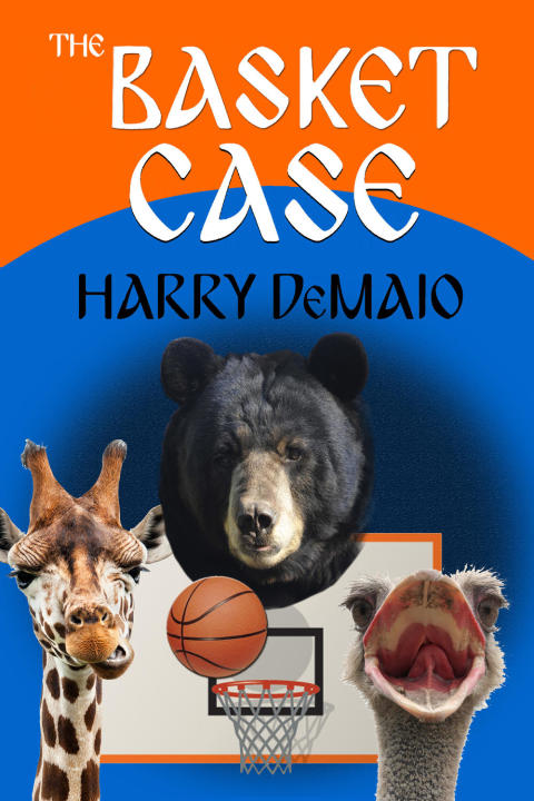Cover image for book The Basket Case