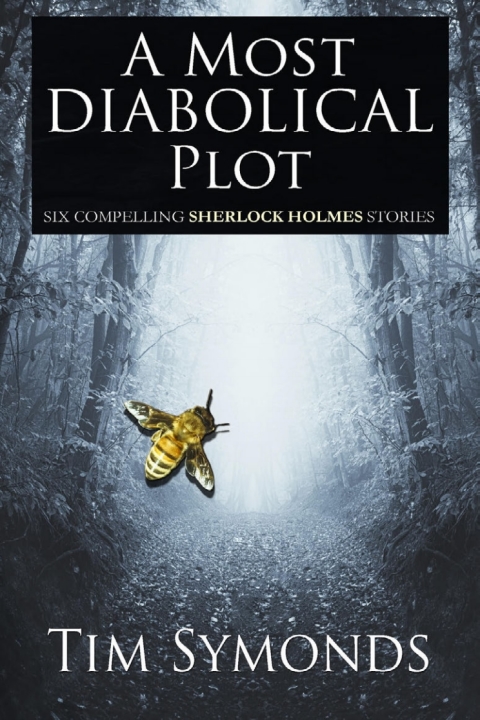 Cover image for book A Most Diabolical Plot