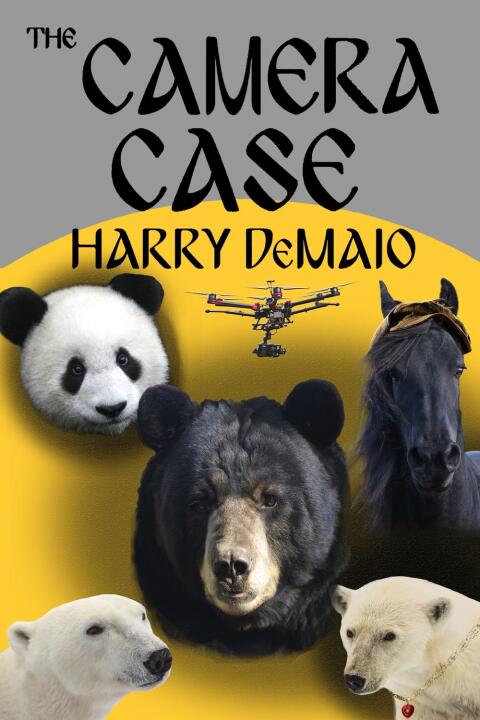 Cover image for book The Camera Case
