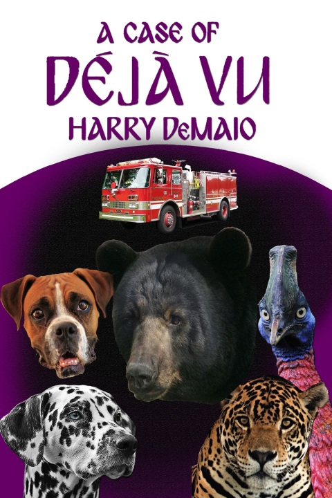 Cover image for book A Case of Déjà Vu