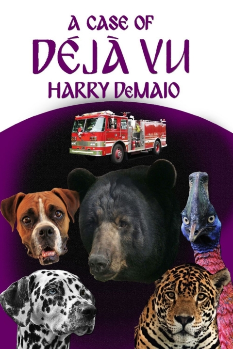 Cover image for book A Case of Déjà Vu