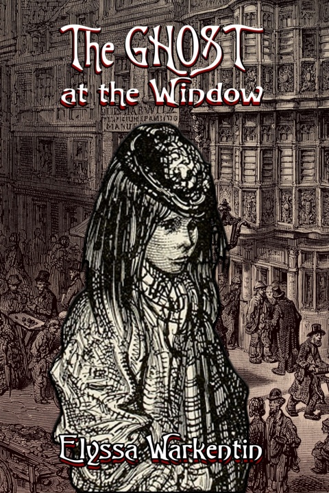 Cover image for book The Ghost at the Window