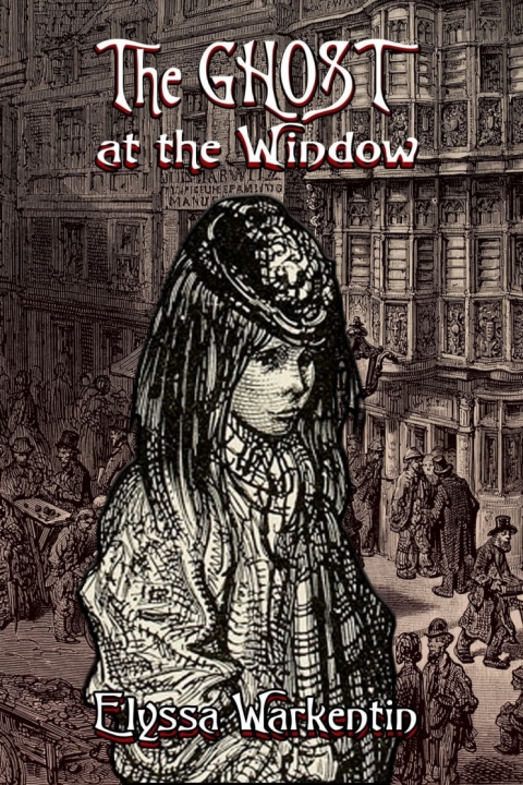 Cover image for book The Ghost at the Window