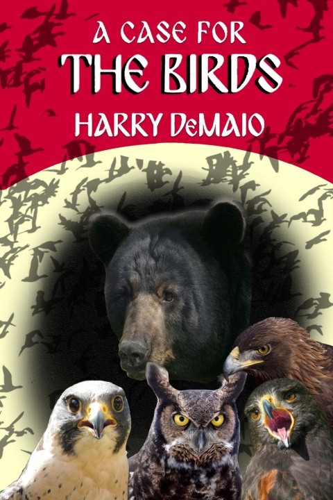 Cover image for book A Case For The Birds