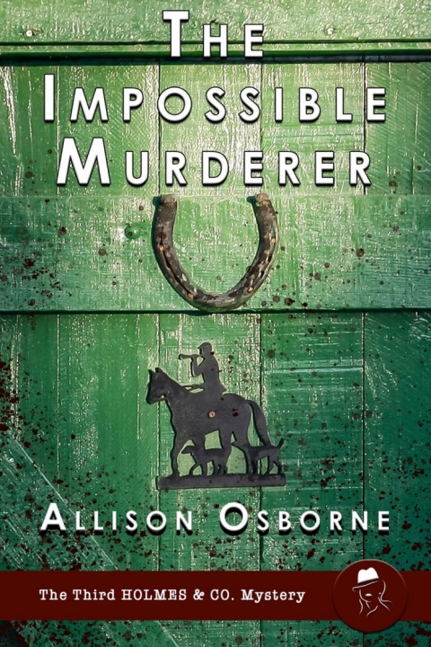 Cover image for book The Impossible Murderer
