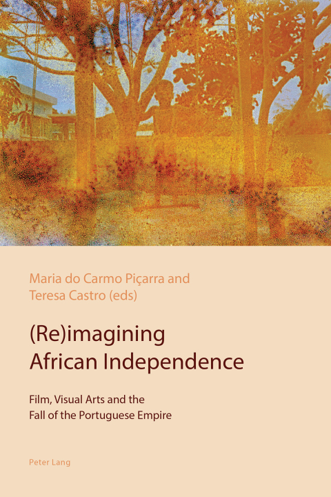 Cover image for book (Re)imagining African Independence