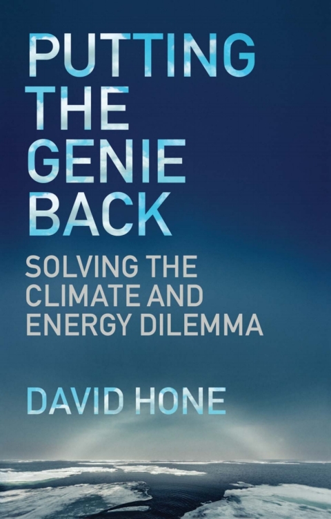 Cover image for book Putting the Genie Back