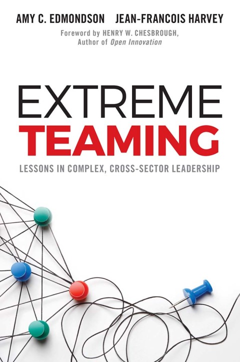 Cover image for book Extreme Teaming