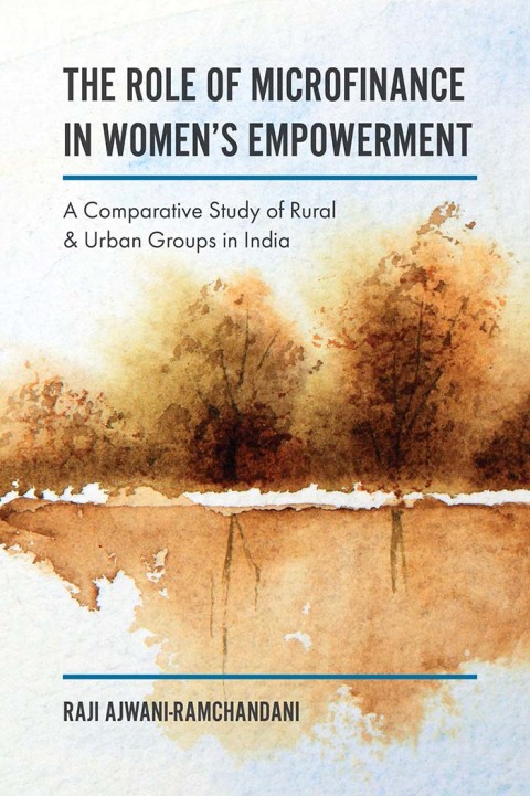 Cover image for book The Role of Microfinance in Women's Empowerment