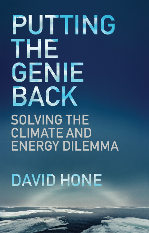 Cover image for book Putting the Genie Back