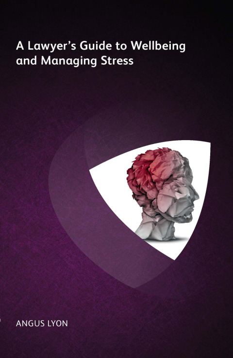 Cover image for book A Lawyer's Guide to Wellbeing and Managing Stress