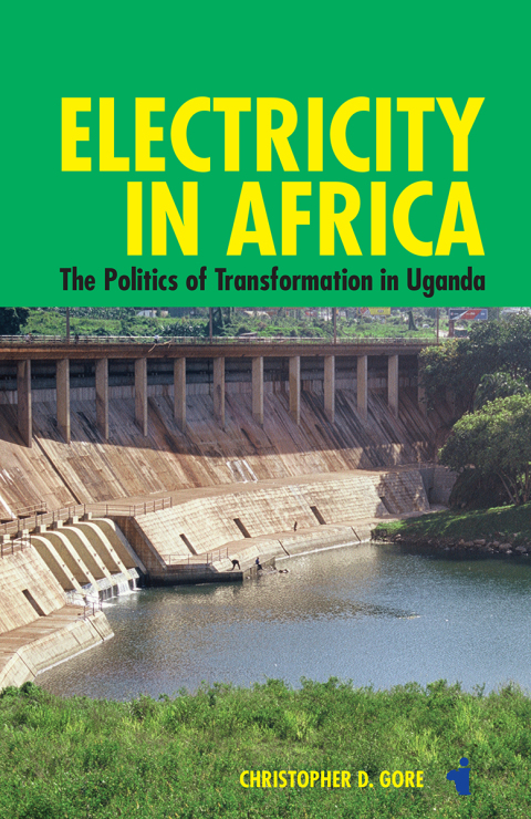 Cover image for book Electricity in Africa