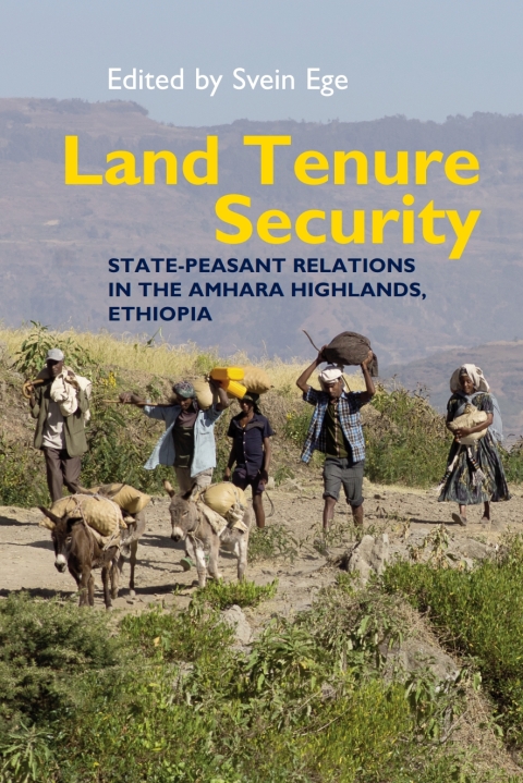 Cover image for book Land Tenure Security
