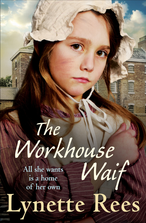 Cover image for book The Workhouse Waif