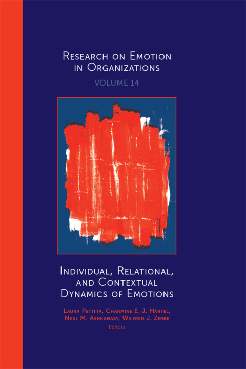 Cover image for book Individual, Relational, and Contextual Dynamics of Emotions