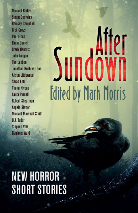 Cover image for book After Sundown