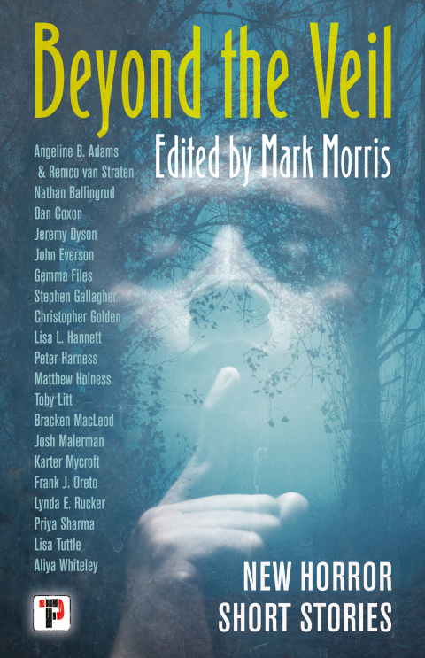 Cover image for book Beyond the Veil