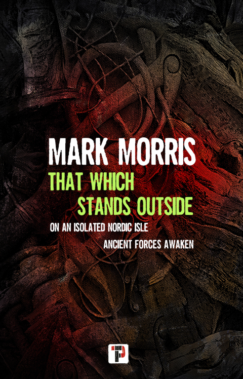 Cover image for book That Which Stands Outside