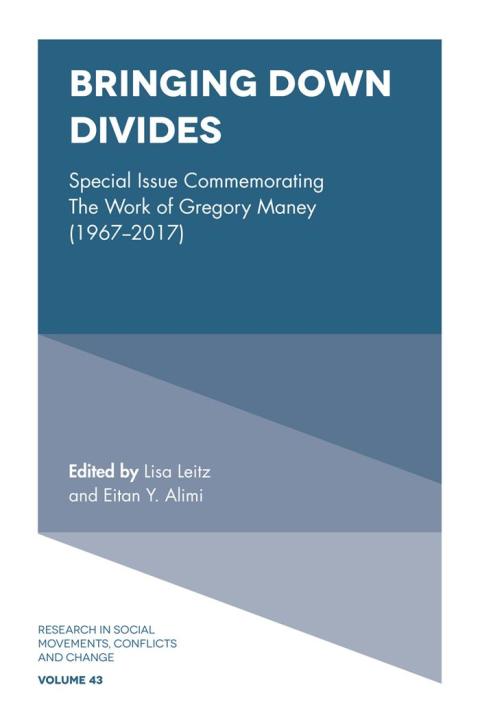 Cover image for book Bringing Down Divides