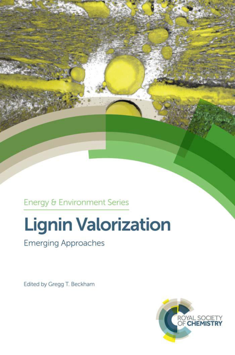 Cover image for book Lignin Valorization