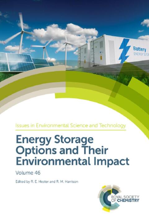 Energy Storage Options and Their Environmental Impact 