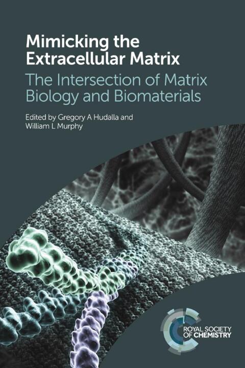 Cover image for book Mimicking the Extracellular Matrix