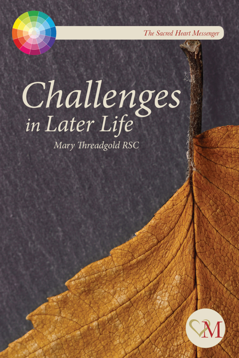 Cover image for book Challenges in Later Life