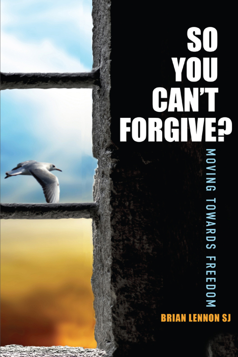 Cover image for book So You Can't Forgive