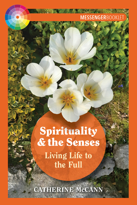 Cover image for book Spirituality and the Senses